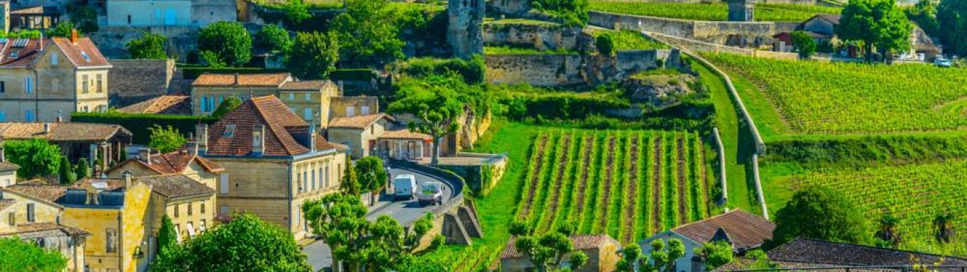 Vineyards,At,Saint,Emilion,,France